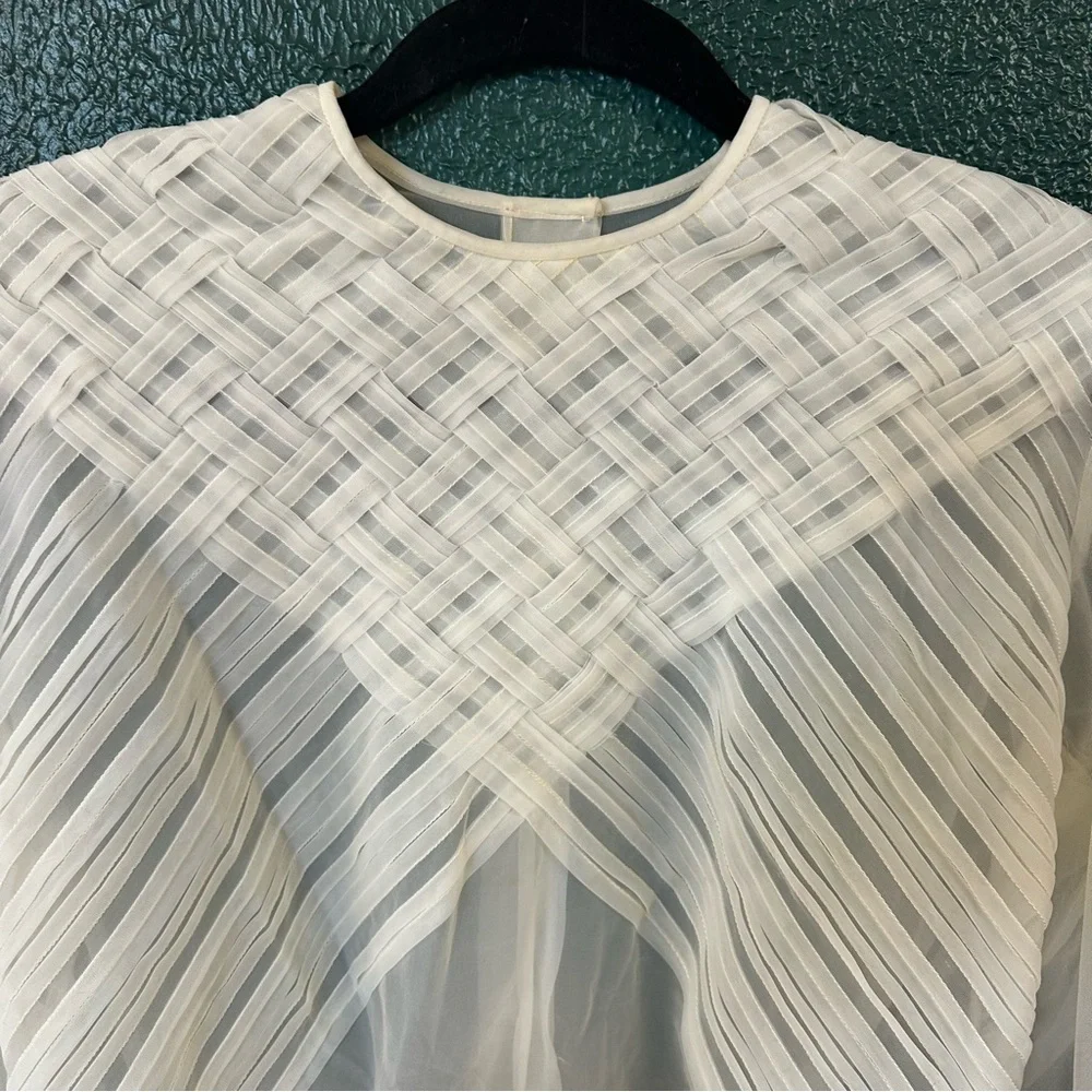 Vintage Miss Debwin Sheer Blouse - Picture 2 of 8